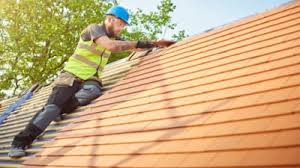 Best Skylight Installation and Repair  in Belterra, TX