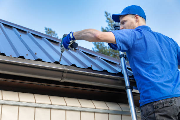 Best Roof Moss and Algae Removal  in Belterra, TX